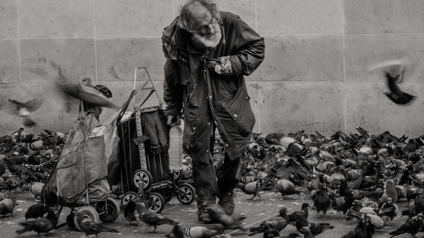 Ilustrační foto: Daniel van den Berg, Unsplash